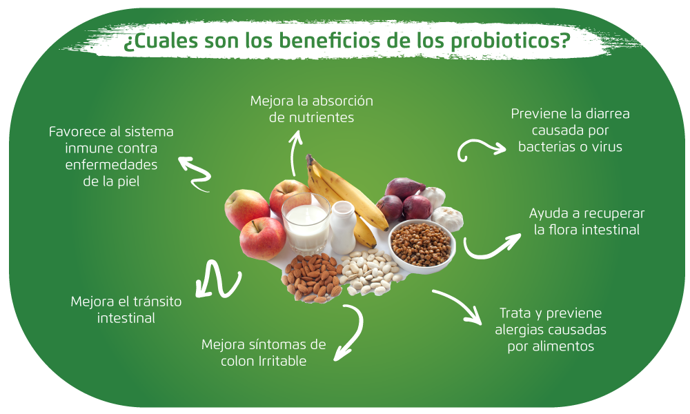 probioticos-benficios.png